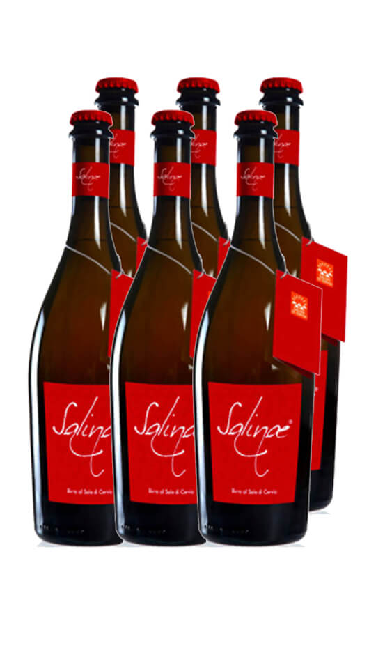 Birra Salinae Ambrata al Sale di Cervia 0.75L - Lager - Salinae - Caisse de 6 Bott.